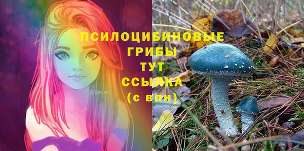 винт Бугульма
