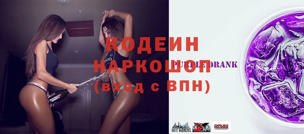 молекула духа Бородино