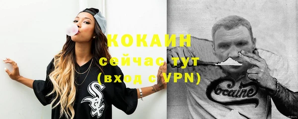 молекула духа Бородино