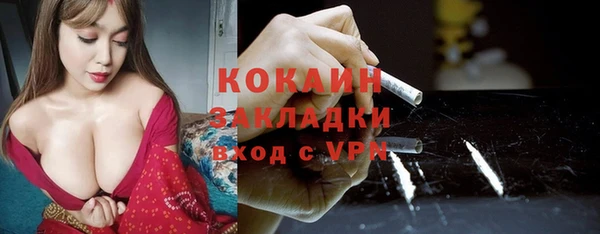 молекула духа Бородино