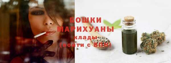 молекула духа Бородино