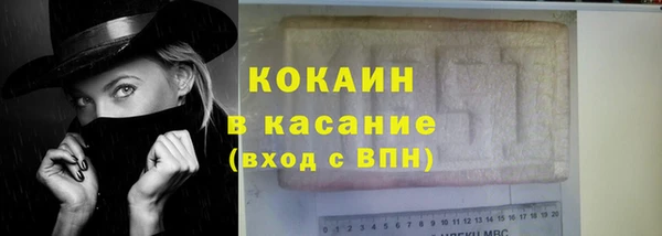 молекула духа Бородино