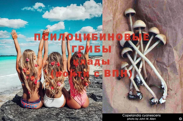 a pvp Бронницы