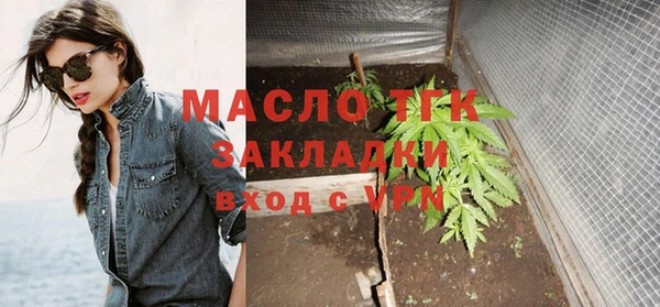 молекула духа Бородино
